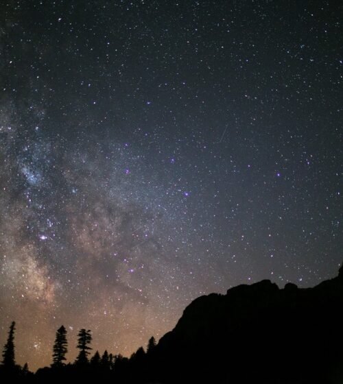 astrofotografia_de_cielos_nocturnos_via_lactea_y_bosques